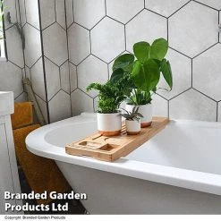 Green Houseplants Bathroom Trio -plant HOUS BATHRTRIO T43636