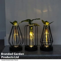 Hydroponic Collection In Turin Glass 9 Hydroponic Collection In Turin Glass -plant HYDR LEDTURING T49876