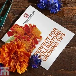Pollinator Flowers Growing Kit -plant PERF TKA1544A C
