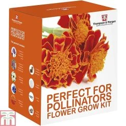 Pollinator Flowers Growing Kit -plant PERF TKA1544A D