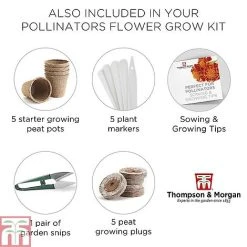 Pollinator Flowers Growing Kit -plant POLL TKA1544 F