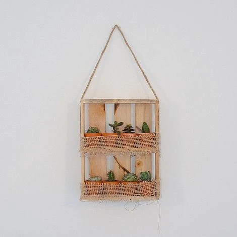 Hanging Wooden Succulent Shelf With 8 Plants 2 Hanging Wooden Succulent Shelf With 8 Plants - Image 2