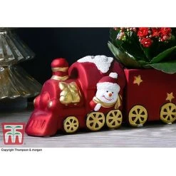 Train Set - Gift -plant TRAI WGKB7083 C