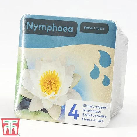 Water Lily White With A Pond Basket 2 Water Lily White With A Pond Basket - Image 2