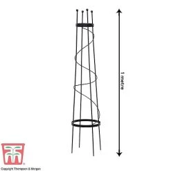 Clematis Duo Collection 7 Clematis Duo Collection -plant z OBEL KB0599 A201